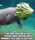 1706798588369.png