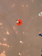 IMG_4890.jpeg