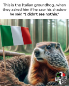 1706894921156.png