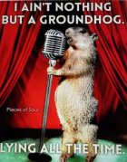 IMG_2961.jpeg