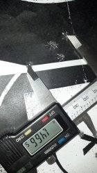 2013-03-01_10-12-36_636.jpg