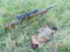 DSCN3730.JPG