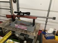 IMG_2595.jpeg