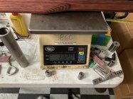 IMG_2596.jpeg