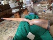 IMG_2119.jpeg