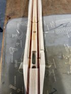 IMG_2260.jpeg