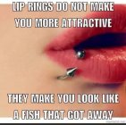 IMG_0709.jpeg