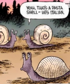 1707408732481.png