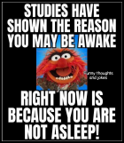 1707507813621.png