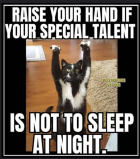 1707507842659.png