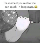 1707588196745.png