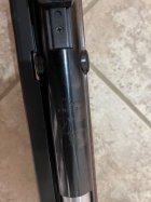 IMG_0950.jpeg
