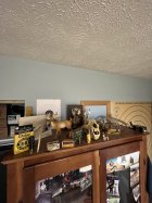 IMG_3005.jpeg