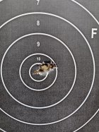 IMG_3711.jpeg