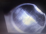 F060829C-E402-4EE5-808D-A61E9157F045.jpeg
