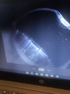 42959D05-1D72-4769-9EB3-0AF5676F8C1E.jpeg