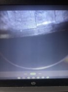 E75166BE-4364-4DF2-959E-207F3FF3EDA5.jpeg