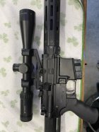 IMG_2297.jpeg