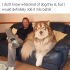 1707787466320.png