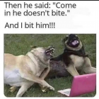 1707875190763.png