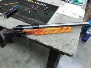 IMG_0917.jpeg