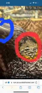 IMG_0884.jpeg