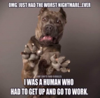1708042272203.png