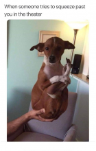 1708042935505.png