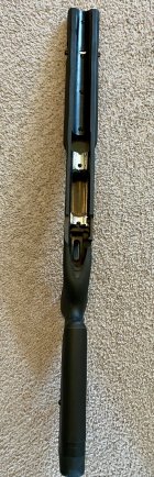 IMG_8806.jpeg