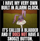1708138858412.png