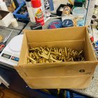 IMG_2952.jpeg