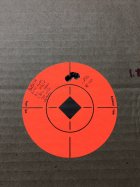 IMG_1191.jpeg