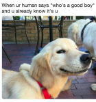 0D474EFE-0169-456C-8AC8-F0825A0C2F3D.png