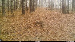 IMG_0453.JPG