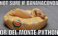 IMG_4830.jpeg