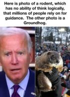 IMG_0880.jpeg
