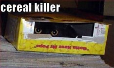 IMG_0057.jpeg