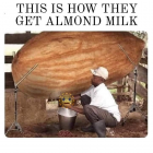 1708393678141.png