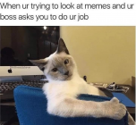 1708393783442.png