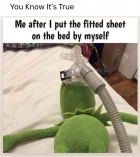 1708394559947.png