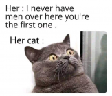 1708395145867.png