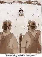 IMG_4852.jpeg
