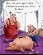 IMG_4855.jpeg