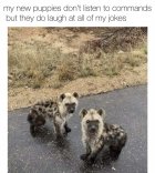 IMG_4857.jpeg