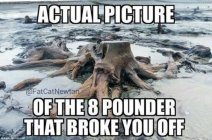 8 POUNDER.jpeg