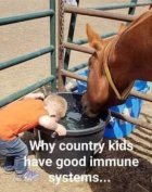 County Kids.jpg