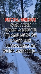 IMG_3206.jpeg