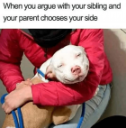 1708466305590.png
