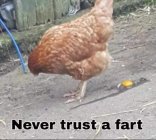 C534D8B3-9CE2-479C-8D00-4BB314FD7AFC.jpeg