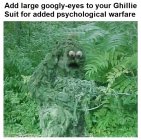 Googly Eyed Ghilli Suit.jpg